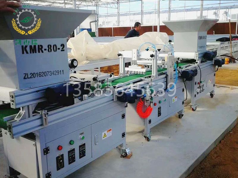 KMR-80-2穴盤播種機(jī)